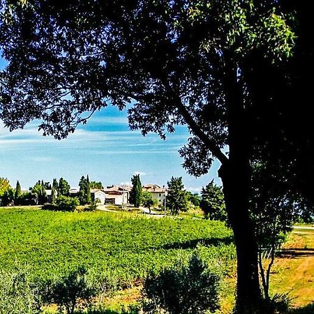 Апартаменты Fattoria La Torre Сан-Джиминьяно Экстерьер фото
